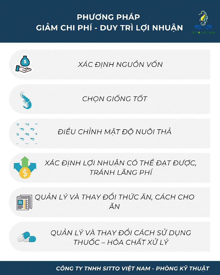 Giải pháp duy trì lợi nhuận trong thời điểm khủng hoảng giá tôm?