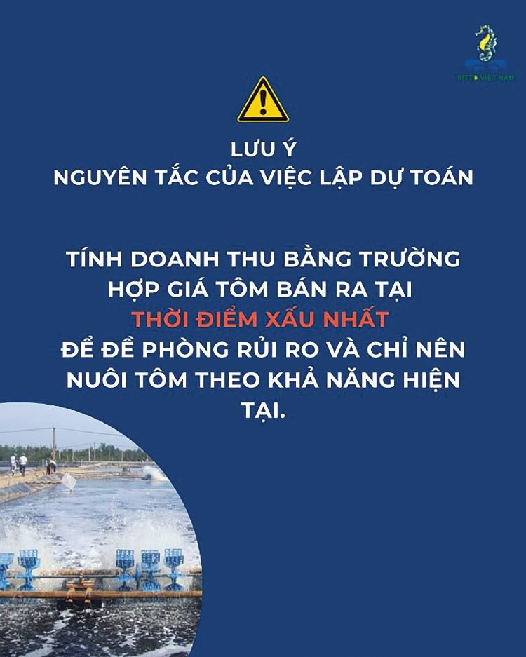 Giải pháp duy trì lợi nhuận trong thời điểm khủng hoảng giá tôm?