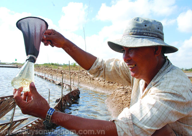 kỹ thuật ấp artemia